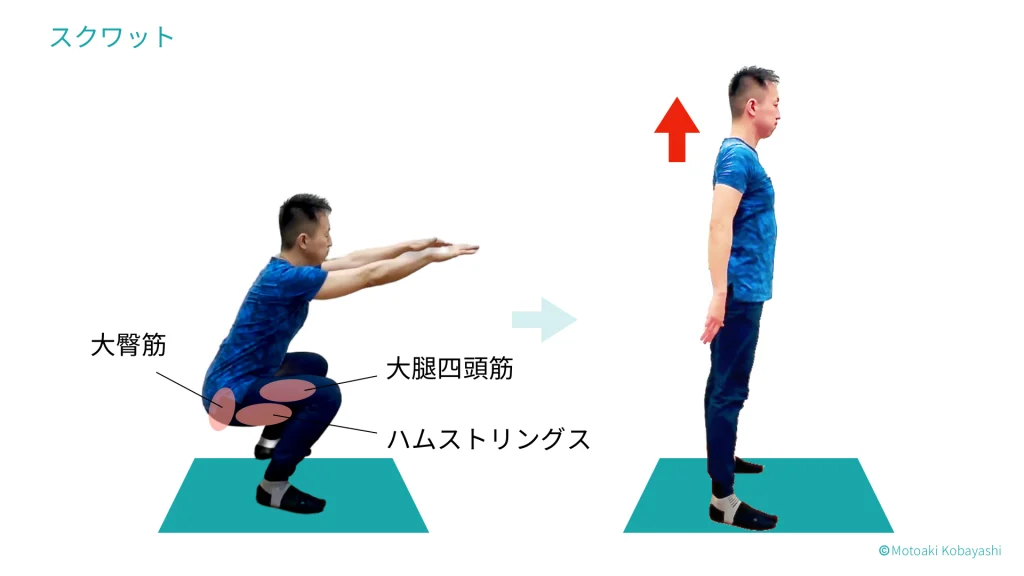 スクワットトレーニング筋トレ法